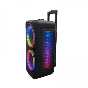 XZQ- 802 Karaoke Machine Portable PA System Big Bluetooth Speaker with LED Lights, Support Bass/Treble Adjustment, TF Card/USB, REC for Adult Kids Home Party