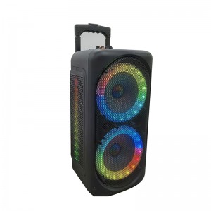 XZQ- 802 Karaoke Machine Portable PA System Big Bluetooth Speaker with LED Lights, Support Bass/Treble Adjustment, TF Card/USB, REC for Adult Kids Home Party