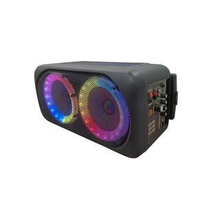 XZQ- 802 Karaoke Machine Portable PA System Big Bluetooth Speaker with LED Lights, Support Bass/Treble Adjustment, TF Card/USB, REC for Adult Kids Home Party