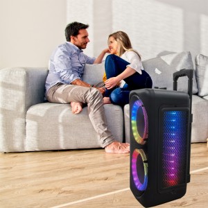 XZQ- 802 Karaoke Machine Portable PA System Big Bluetooth Speaker with LED Lights, Support Bass/Treble Adjustment, TF Card/USB, REC for Adult Kids Home Party